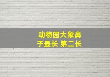 动物园大象鼻子最长 第二长